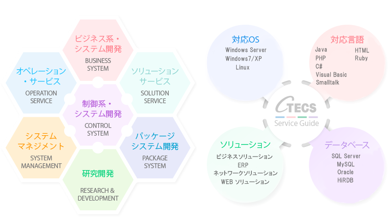 技術フィールド