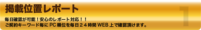 掲載位置レポート